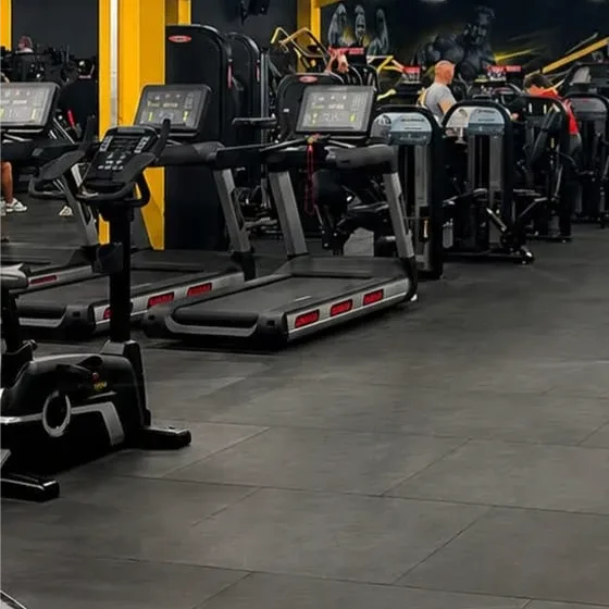 A row of treadmills and cross-trainers on the gym floor